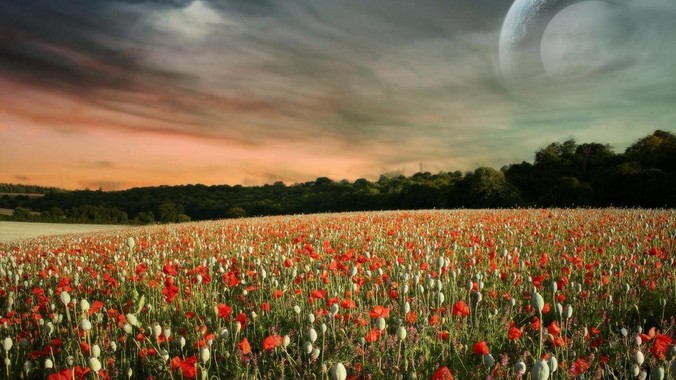 Golang和J***a到底怎么选?